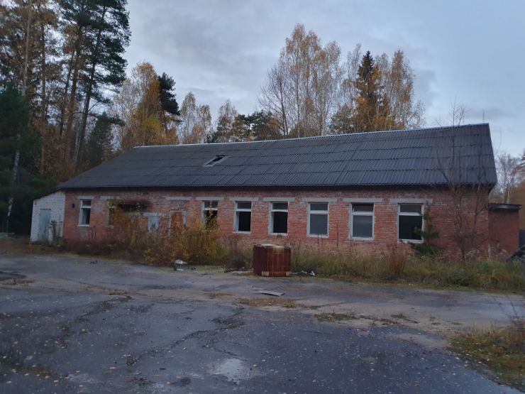 Фото: Ксения Ражева