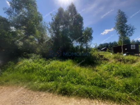 snt-leninec-10-bogorodskiy-municipalnyy-okrug фото