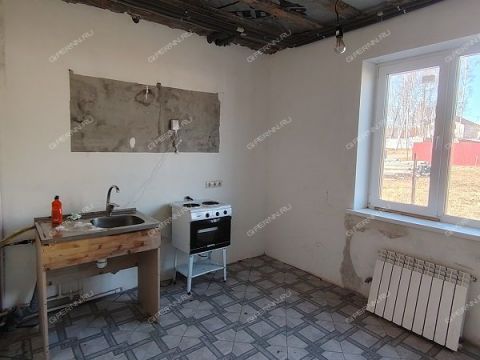 dom-derevnya-shumilovo-bogorodskiy-municipalnyy-okrug фото