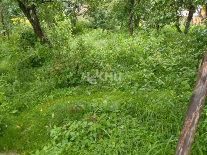 земельный участок 5,5 сотки деревня Крутец