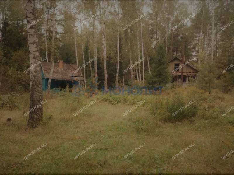 земельный участок под коммерческое использование в городском округе Бор Нижегородской области