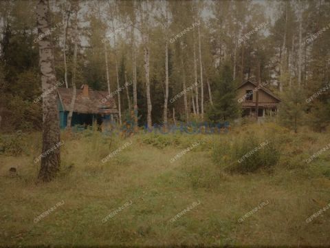 derevnya-syrohvatovo-gorodskoy-okrug-bor фото