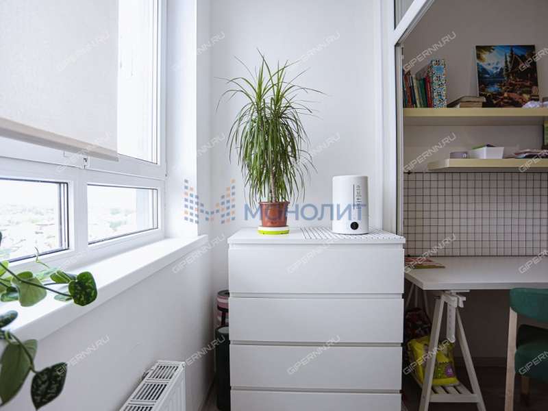 однокомнатная квартира на Черкесской улице дом 2 деревня Анкудиновка