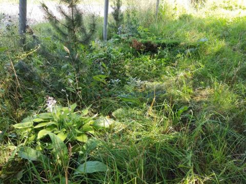 dom-selo-simbiley-dalnekonstantinovskiy-rayon фото