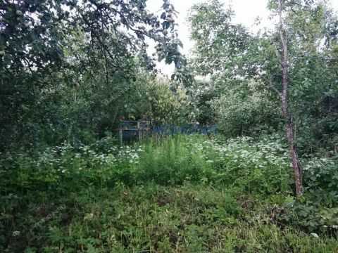 priokskiy-rayon фото