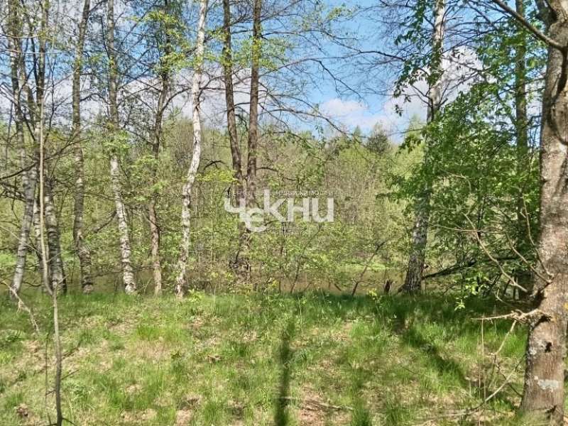 земельный участок 63 сотки деревня Дубрава