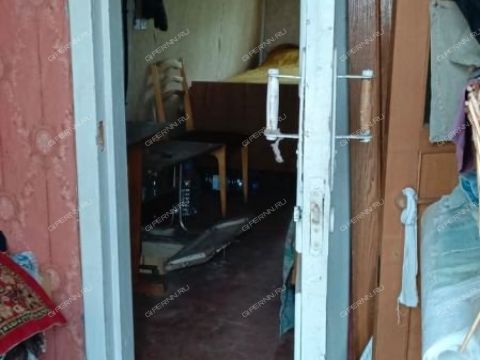 dacha-snt-zheleznodorozhnik-bogorodskiy-municipalnyy-okrug фото
