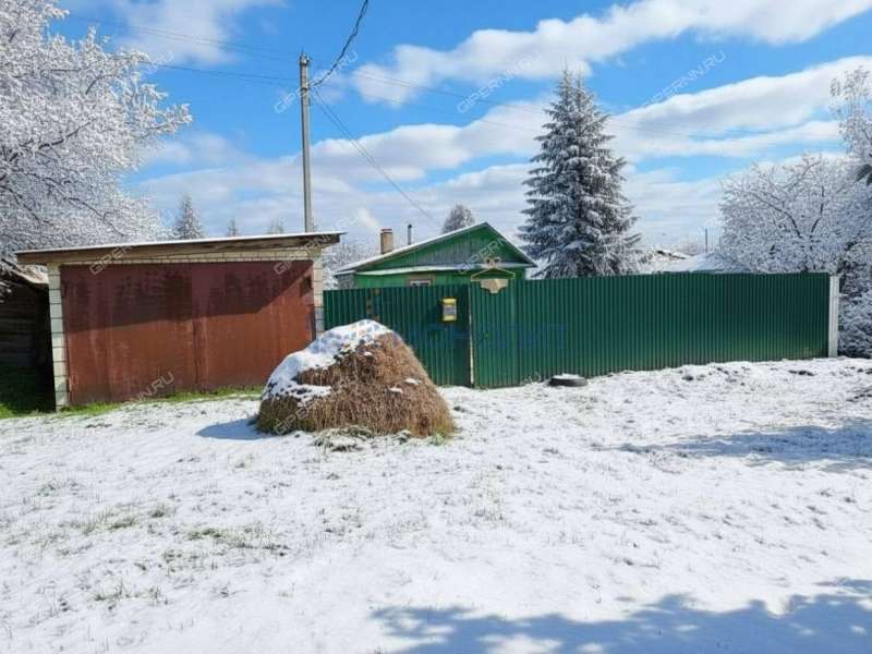 дом на улице Троицкого село Чернуха