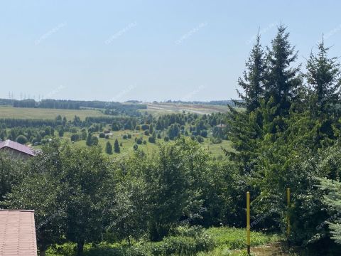kottedzh-derevnya-blizhnekonstantinovo-ul-geroya-borisova-d-53 фото