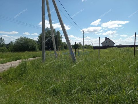 derevnya-burcevo-bogorodskiy-municipalnyy-okrug фото