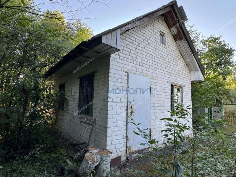dacha фото