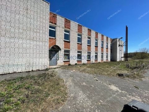 selo-pureh-gorodskoy-okrug-chkalovsk фото