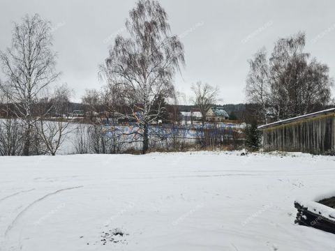 dom-derevnya-piyaichnoe-sosnovskiy-rayon фото