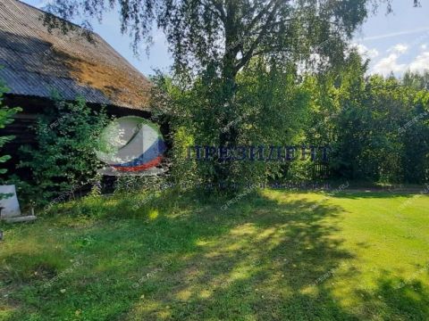 derevnya-korobeynikovo-gorodeckiy-rayon фото