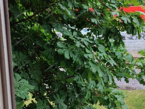 1-komnatnaya-ul-marshala-zhukova-d-9 фото