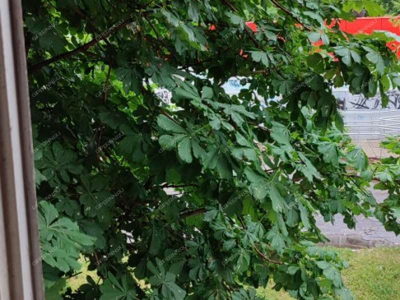 однокомнатная квартира на улице Маршала Жукова дом 9