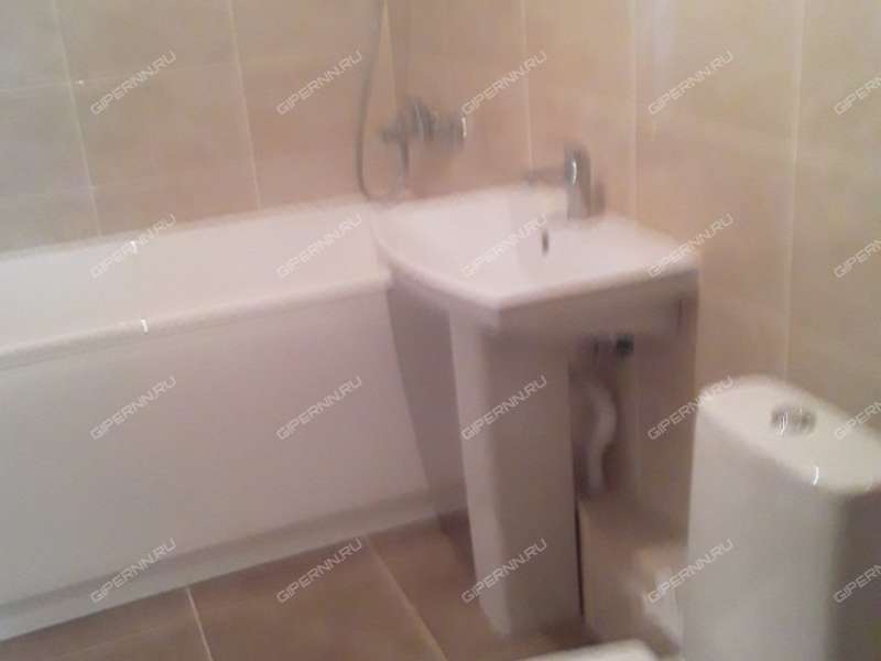 однокомнатная квартира на Русской улице улице дом 18 деревня Анкудиновка