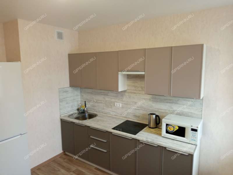 двухкомнатная квартира на улице Академика Чазова дом 1