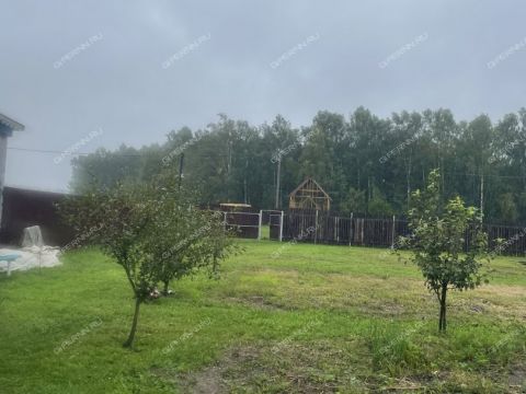 derevnya-vybolovo-bogorodskiy-municipalnyy-okrug фото