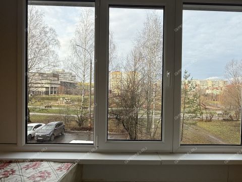 2-komnatnaya-gorod-kstovo-kstovskiy-rayon фото