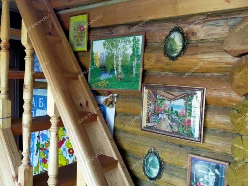 дом на Центральной улице село Спасское