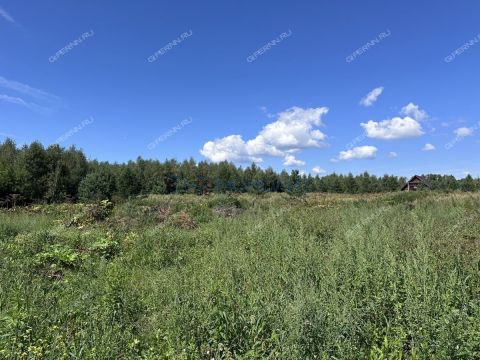 selo-dudenevo-bogorodskiy-municipalnyy-okrug фото