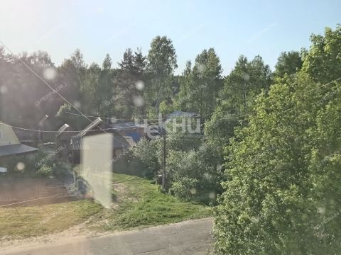 3-komnatnaya-derevnya-drozdovo-brilyakovskiy-selsovet-gorodeckiy-rayon фото