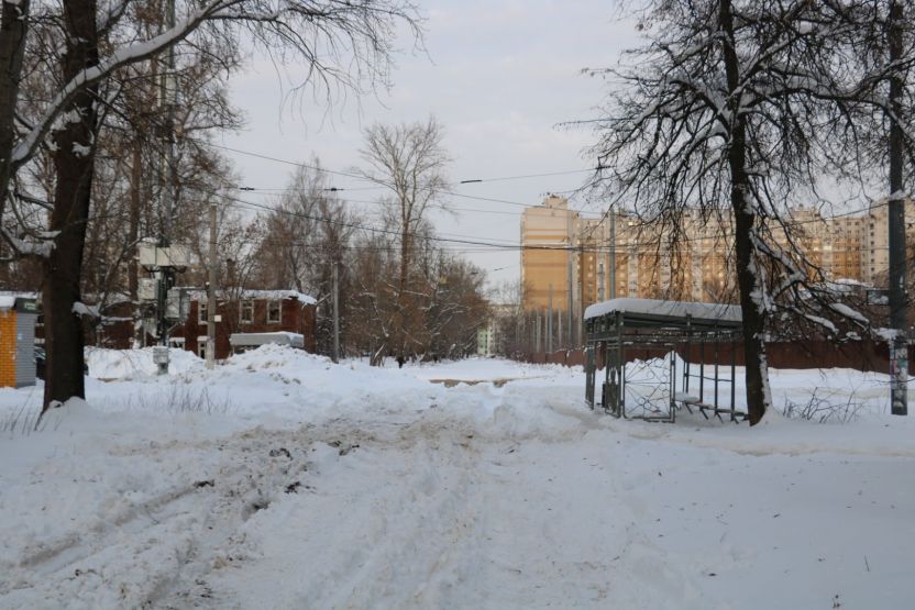 Фото: Ксения Ражева