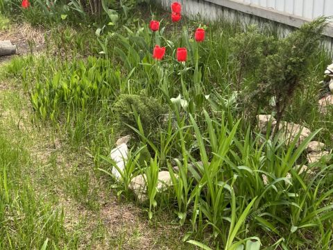 dom-poselok-gnilicy-ul-shushenskaya-d-67 фото