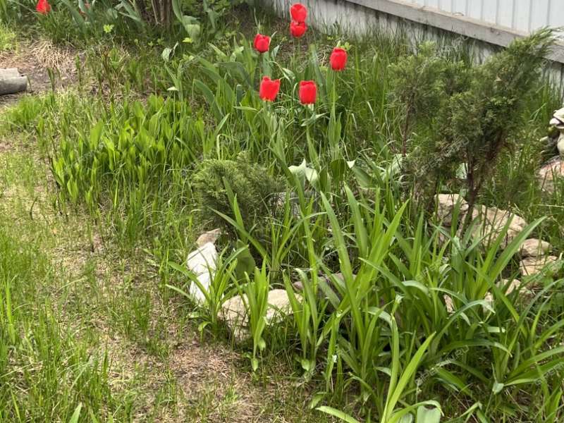 дом на Шушенской улице