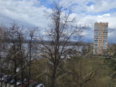 1-komnatnaya-nab-fedorovskogo-d-5 фото