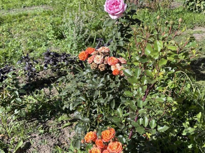 дом на Сосновской улице город Кстово