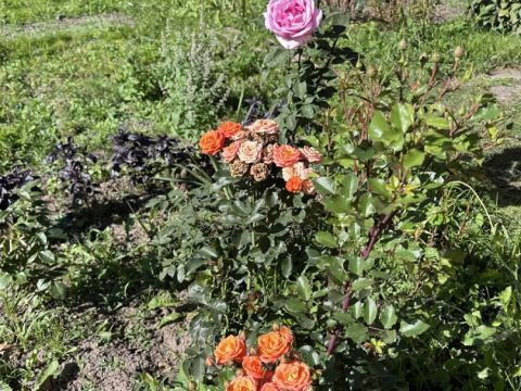 dom-gorod-kstovo-kstovskiy-rayon фото