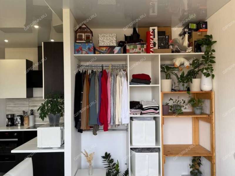 квартира-студия на Академической улице дом 11 деревня Афонино