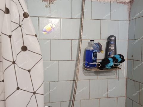 ul-yuliusa-fuchika-d-4 фото