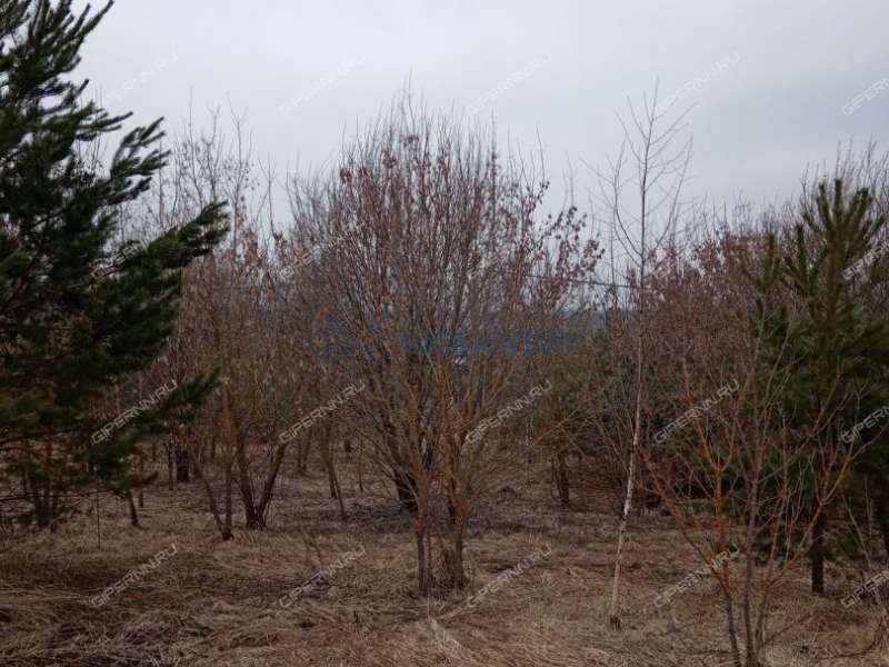 земельный участок 9,95 сотки Солнечная улица ДП Чешские Сады (деревня Непецино) тер