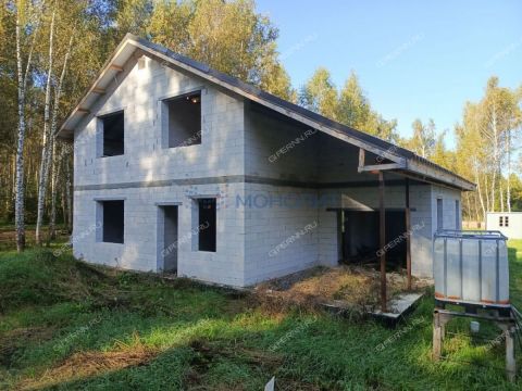 dom-derevnya-berezovka-bogorodskiy-municipalnyy-okrug фото