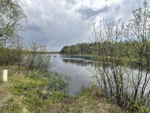 derevnya-sverchkovo-gorodskoy-okrug-bor фото