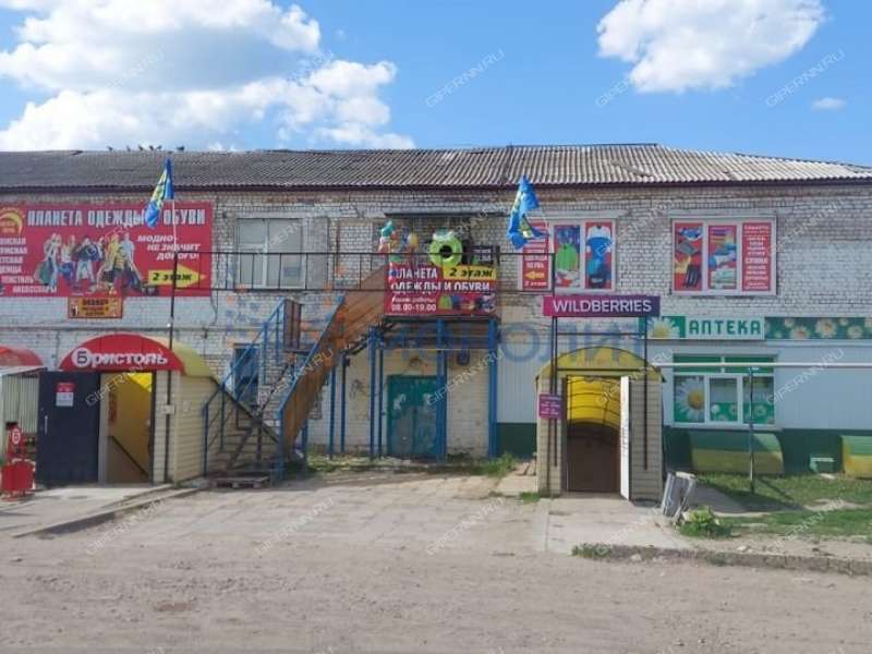 помещение под торговую площадь, склад на улице Ленина село Гагино