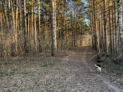 dom-poselok-gnilicy-ul-shushenskaya-d-67 фото