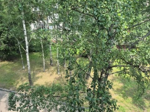 2-komnatnaya-ul-dyakonova-d-10 фото