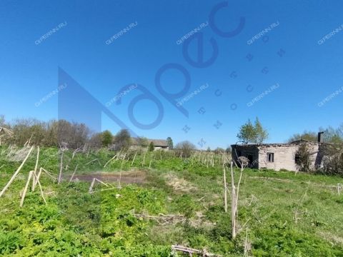 derevnya-berezovo-sokolskiy-gorodskoy-okrug фото