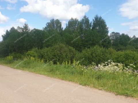 derevnya-inyutino-bogorodskiy-municipalnyy-okrug фото