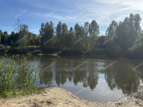 derevnya-kremenki-dalnekonstantinovskiy-rayon фото