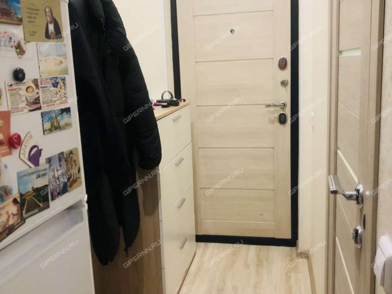 квартира-студия на улице Красная Поляна дом 2 деревня Афонино