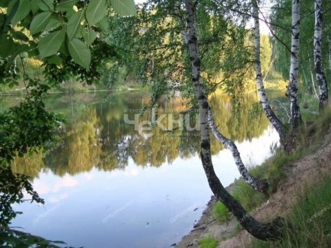 derevnya-koskovo-gorodeckiy-rayon фото