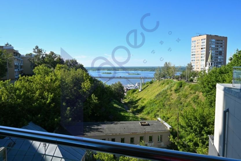 Фото: Ольга Пронина / АН «Адрес»