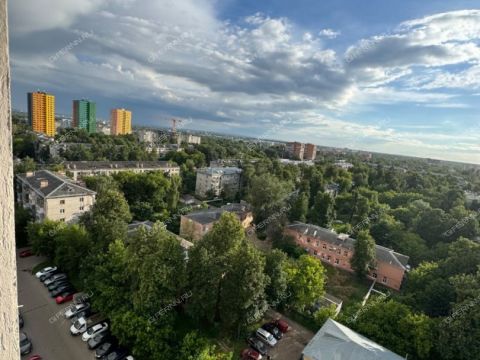 1-komnatnaya-sh-moskovskoe-d-167-k3 фото