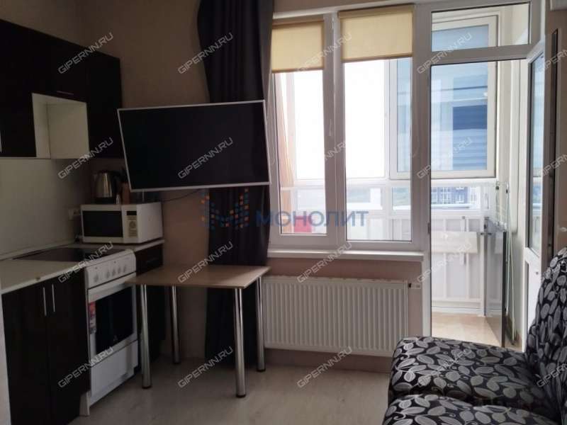 однокомнатная квартира на Русской улице улице дом 4 деревня Анкудиновка