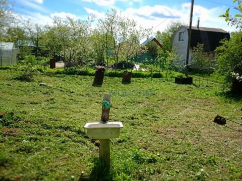 dacha-massiv-4-leninec-selo-bolshaya-elnya-ter-snt-kstovskiy-rayon фото